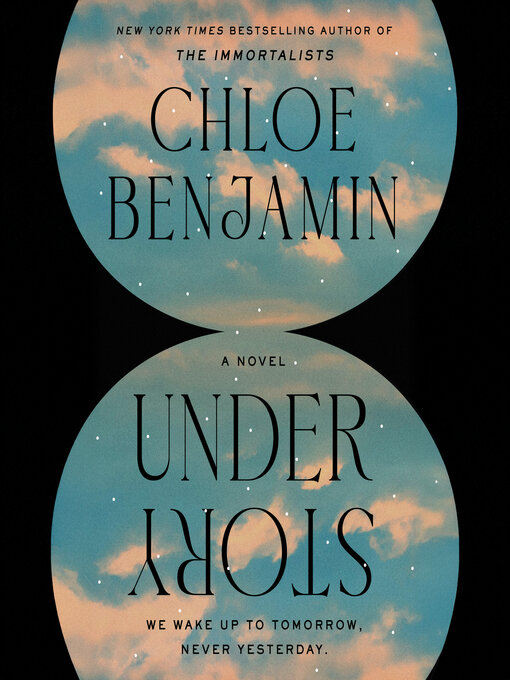 Cover image for Under Story